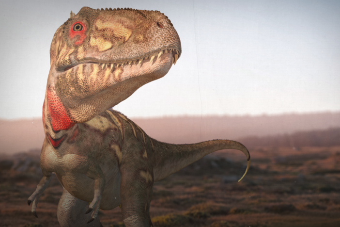 Where Are All the Medium-Sized Dinosaurs?: asset-mezzanine-16x9
