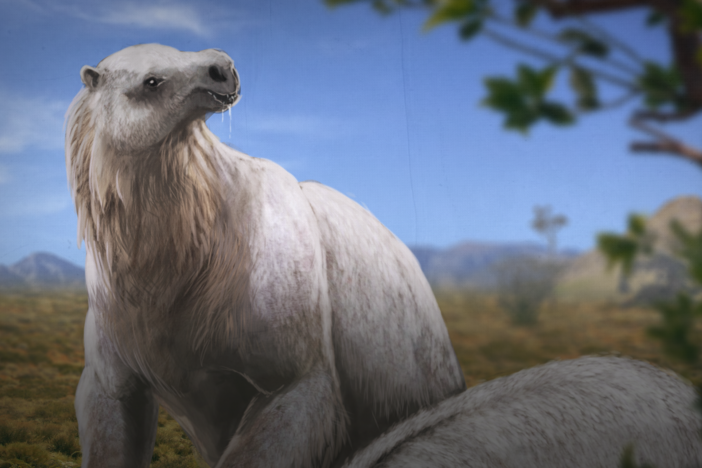 Did These Giant Sloths Poop Themselves to Death?: asset-mezzanine-16x9