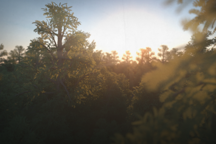 When Trees Took Over the World: asset-mezzanine-16x9