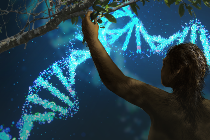 The Genes We Lost Along the Way: asset-mezzanine-16x9