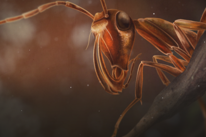 The Reign of the Hell Ants: asset-mezzanine-16x9