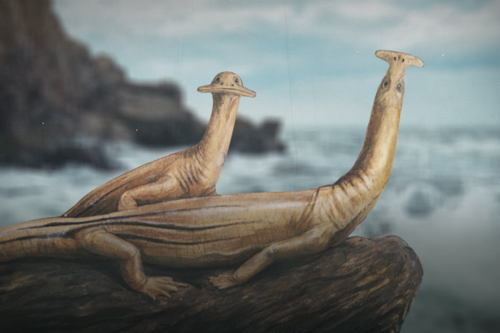 The Triassic Reptile With "Two Faces": asset-mezzanine-16x9
