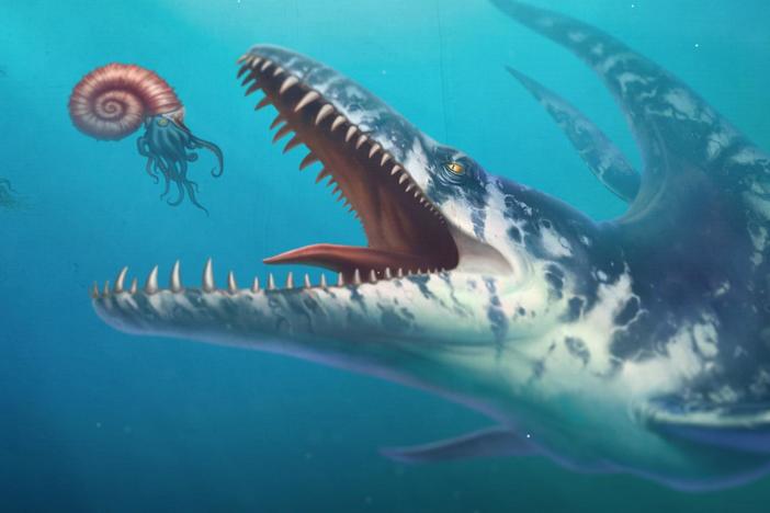 The Sea Monster from the Andes: asset-mezzanine-16x9