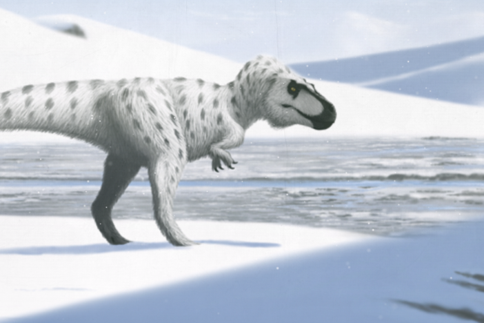 When Dinosaurs Chilled in the Arctic: asset-mezzanine-16x9