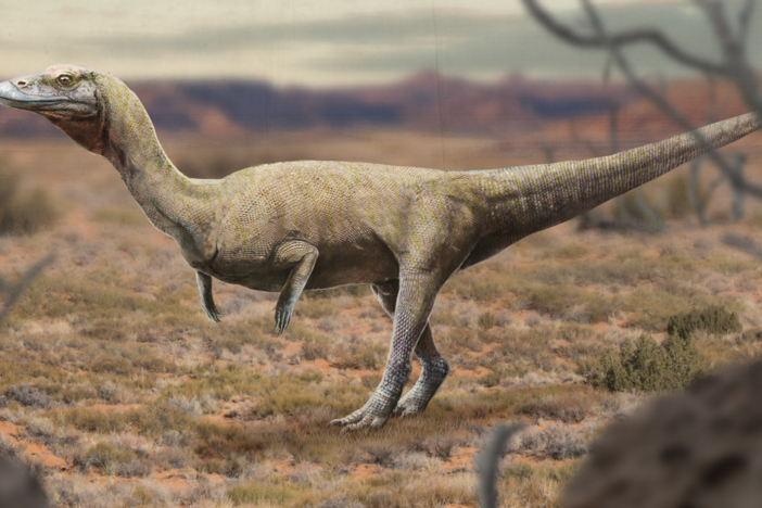 When Dinosaur Look-Alikes Ruled the Earth: asset-mezzanine-16x9