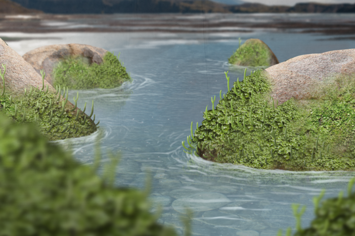 How Plants Caused the First Mass Extinction: asset-mezzanine-16x9