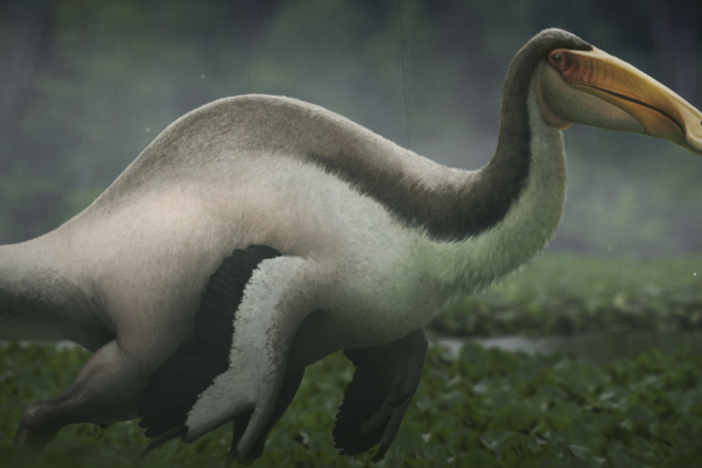 The Giant Dinosaur That Was Missing a Body: asset-mezzanine-16x9