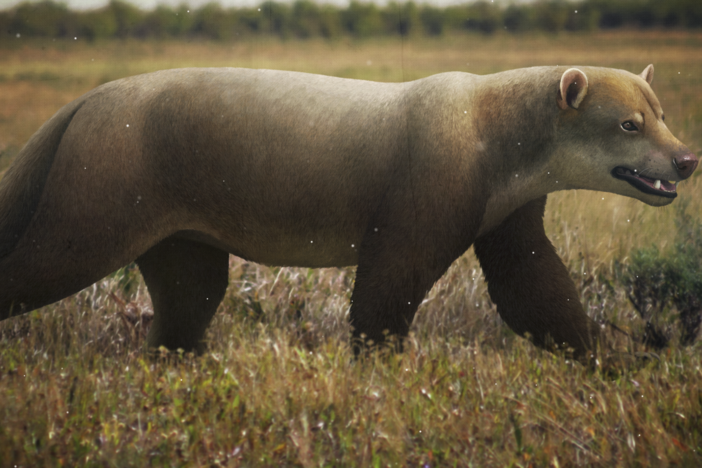 The Forgotten Story of the Beardogs: asset-mezzanine-16x9