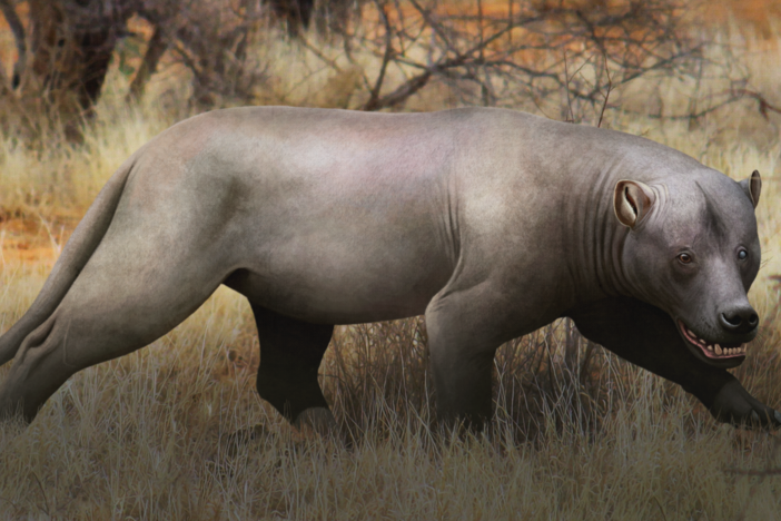 When Giant Hypercarnivores Prowled Africa: asset-mezzanine-16x9