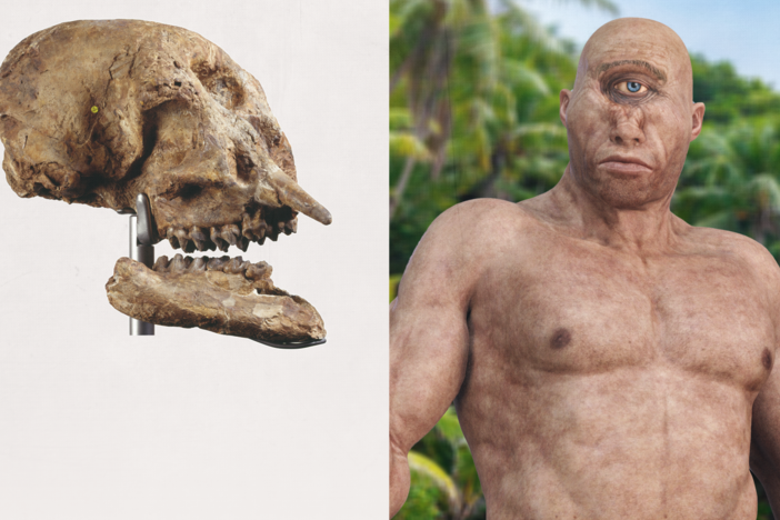 Were These Monsters Inspired by Fossils?: asset-mezzanine-16x9