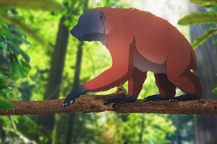 When Giant Lemurs Ruled Madagascar: asset-mezzanine-16x9