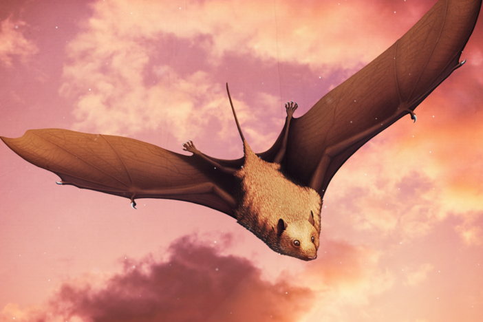 When Bats Took Flight: asset-mezzanine-16x9