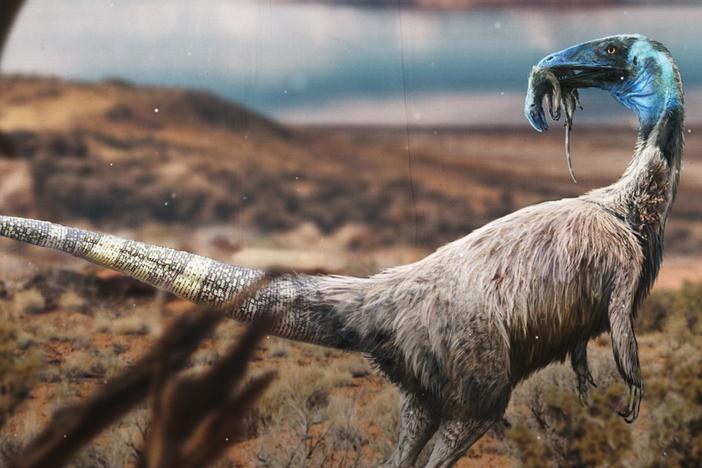 Was This Dinosaur a Cannibal?: asset-mezzanine-16x9