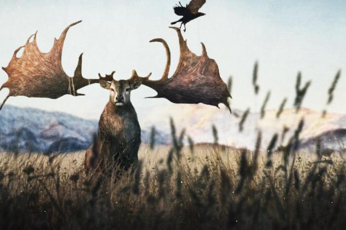 When Giant Deer Roamed Eurasia: asset-mezzanine-16x9
