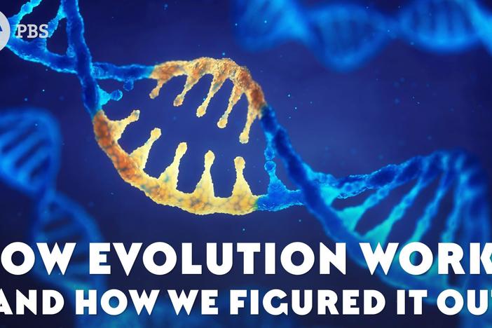 How Evolution Works (And How We Figured It Out): asset-mezzanine-16x9