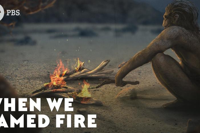 When We Tamed Fire: asset-mezzanine-16x9