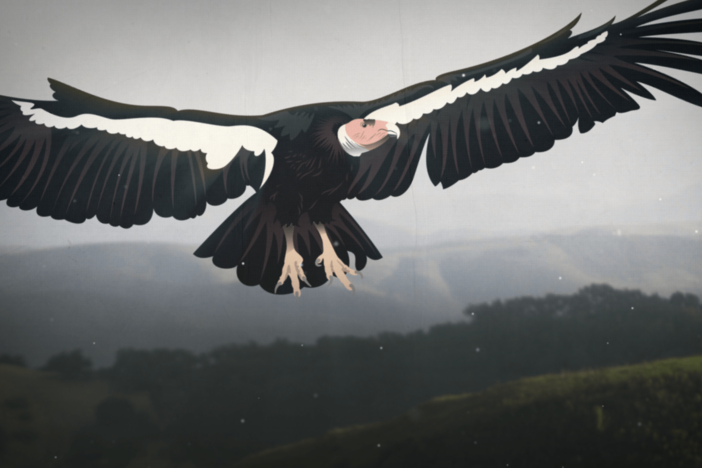 The Giant Bird That Got Lost in Time: asset-mezzanine-16x9