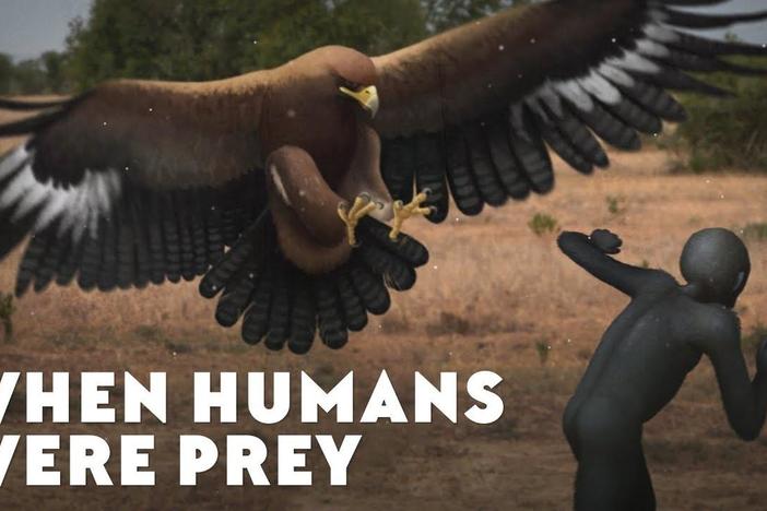 When Humans Were Prey: asset-mezzanine-16x9