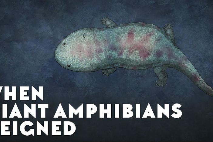 When Giant Amphibians Reigned: asset-mezzanine-16x9