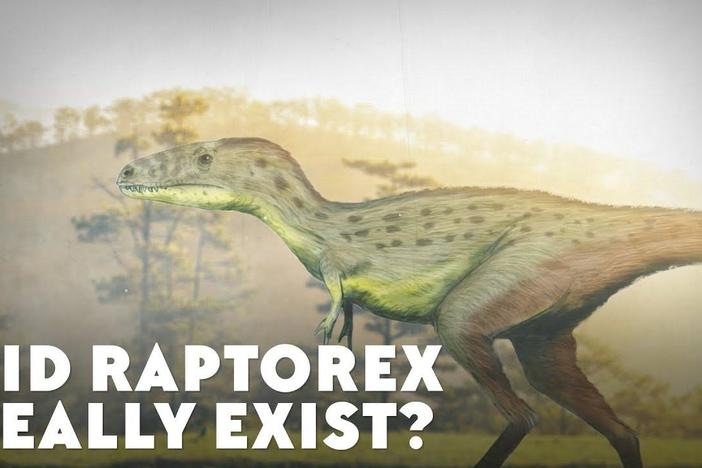 Did Raptorex Really Exist?: asset-mezzanine-16x9