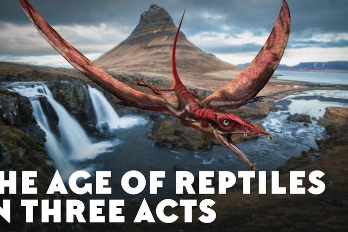 The Age of Reptiles in Three Acts: asset-mezzanine-16x9