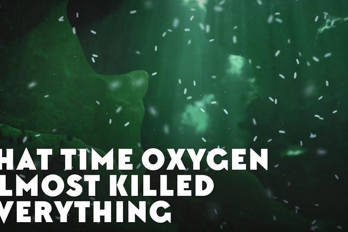 That Time Oxygen Almost Killed Everything: asset-mezzanine-16x9