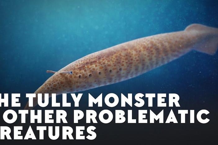 The Tully Monster & Other Problematic Creatures: asset-mezzanine-16x9