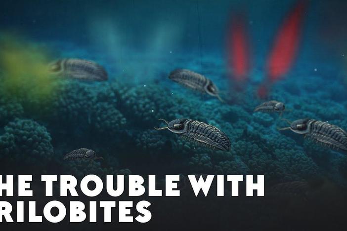 The Trouble With Trilobites: asset-mezzanine-16x9