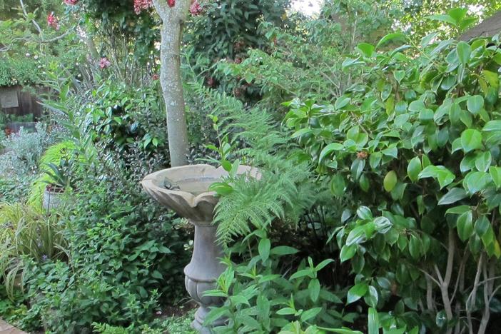 Small-Space Gardening: asset-mezzanine-16x9