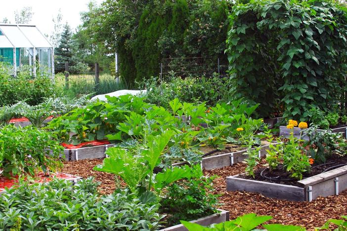 In Susan’s Garden: asset-mezzanine-16x9