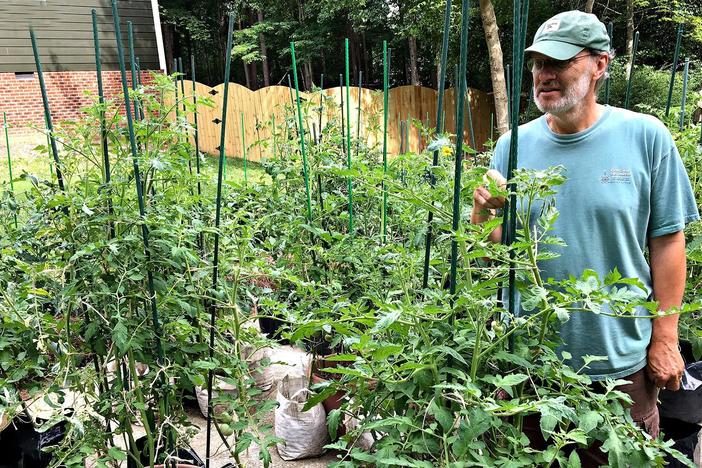 Epic Tomatoes with Craig LeHoullier: asset-mezzanine-16x9