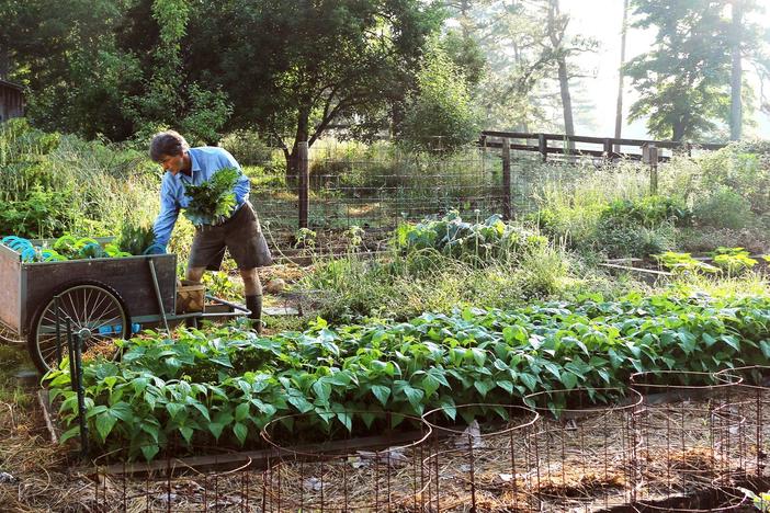 The Weekend Farmer: asset-mezzanine-16x9