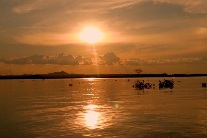 Brazil’s Pantanal: Wetlands and Wildlife: asset-mezzanine-16x9