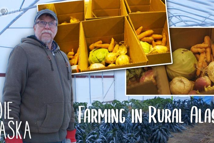 Running the only commercial farm in rural Alaska: asset-mezzanine-16x9