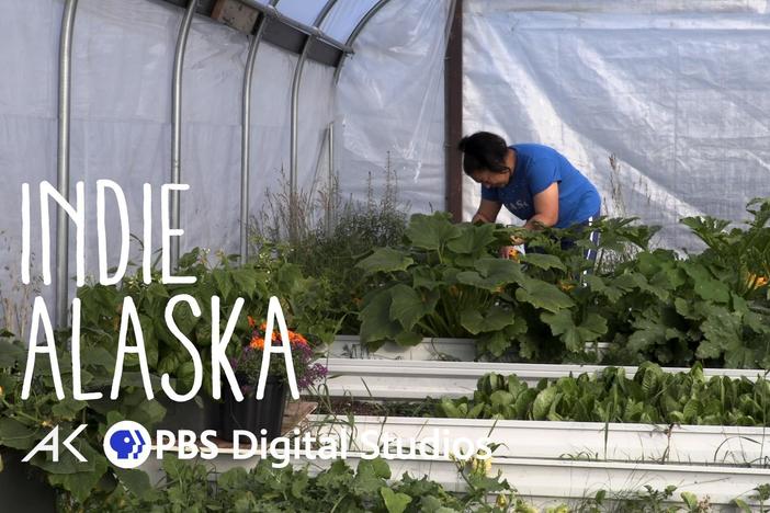 From Mammoth to Kale: A look into gardening in the Arctic: asset-mezzanine-16x9