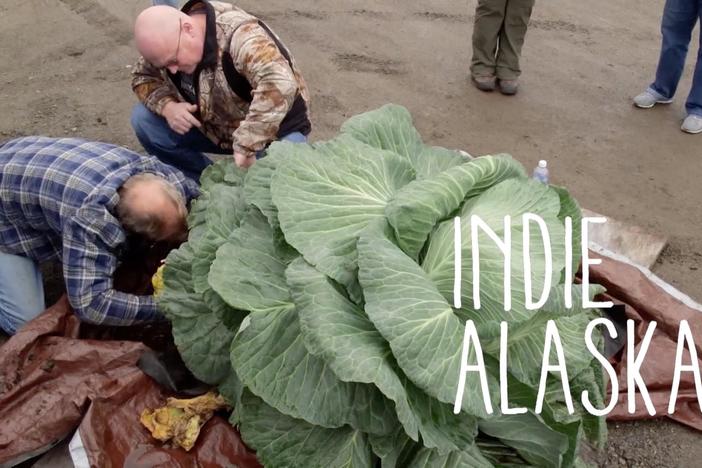 I am a Giant Cabbage Farmer | INDIE ALASKA: asset-mezzanine-16x9