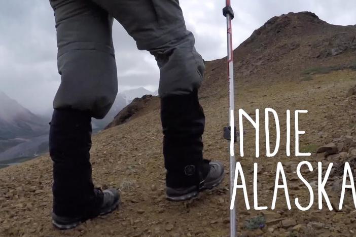 Searching for Sheep in Denali | INDIE ALASKA: asset-mezzanine-16x9