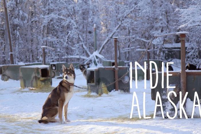 I Am An Iditarod Musher | INDIE ALASKA: asset-mezzanine-16x9