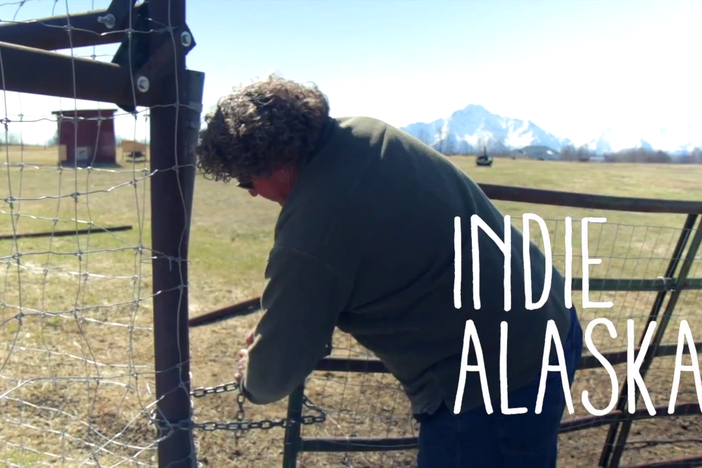 I am a Musk Ox Farmer: asset-mezzanine-16x9