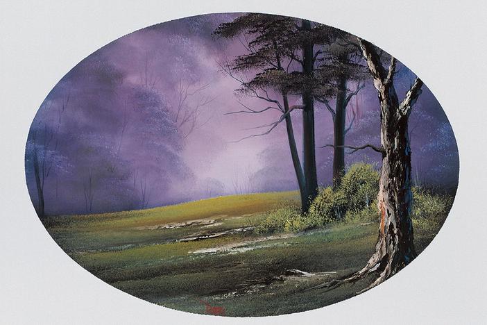 Misty Forest Oval: asset-mezzanine-16x9