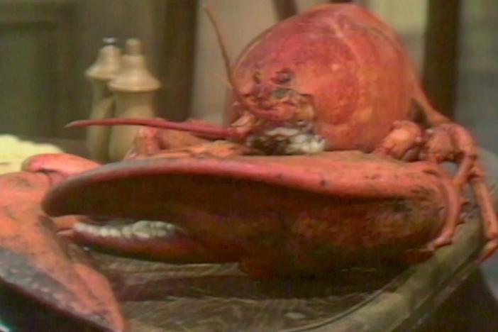 Lobster Show: asset-mezzanine-16x9