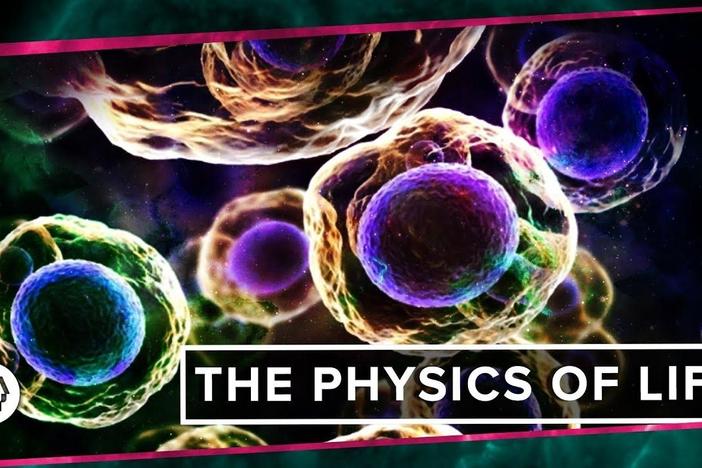 The Physics of Life (ft. It's Okay to be Smart & PBS Eons!): asset-mezzanine-16x9