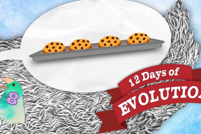 Does Evolution Violate Thermodynamics?: asset-mezzanine-16x9
