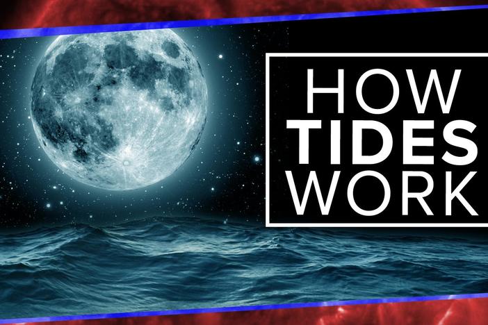What Physics Teachers Get Wrong About Tides!: asset-mezzanine-16x9