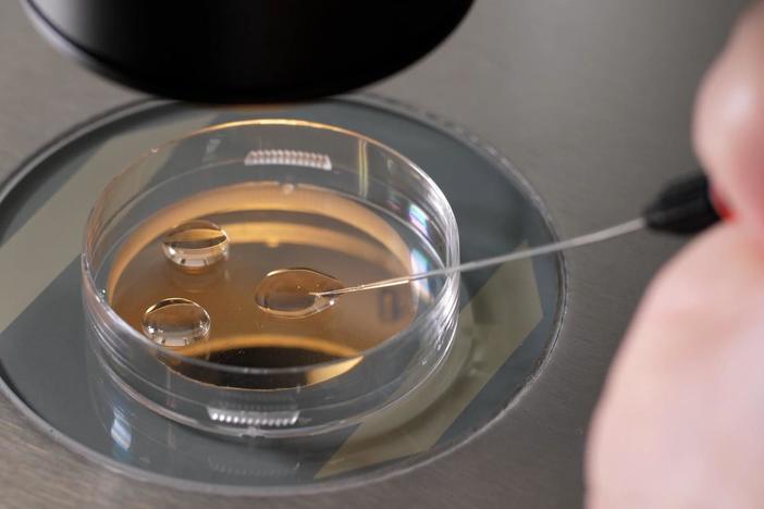 Frozen Embryos; Ukrainian Women: asset-mezzanine-16x9