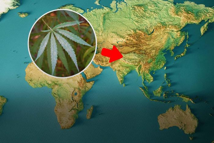 The Hazy Evolution of Cannabis: asset-mezzanine-16x9