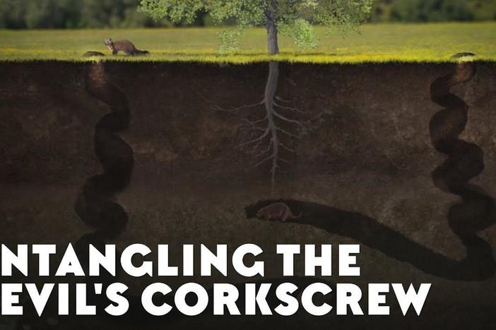 Untangling the Devil's Corkscrew: asset-mezzanine-16x9