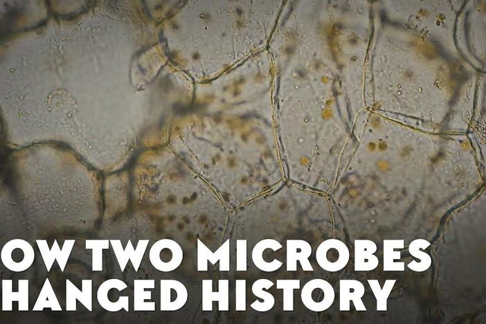 How Two Microbes Changed History: asset-mezzanine-16x9