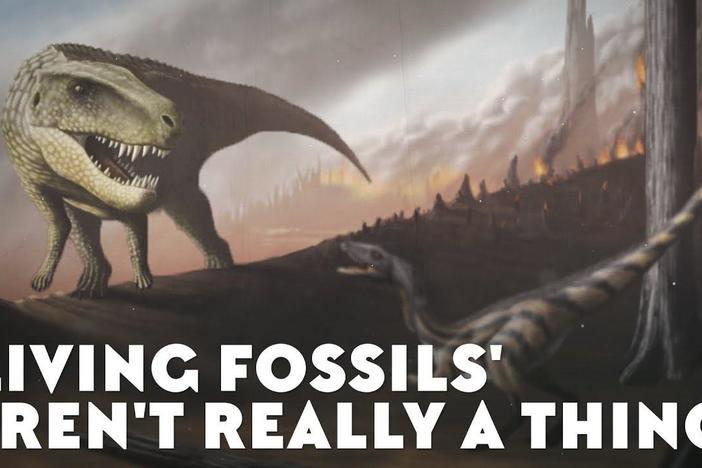 Living Fossils' Aren't Really a Thing: asset-mezzanine-16x9