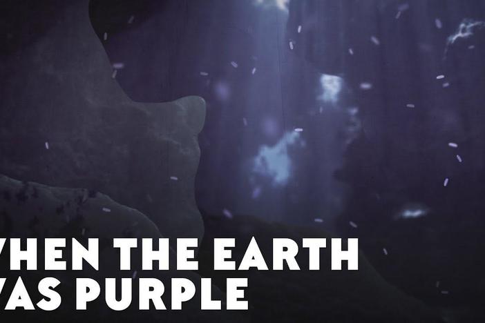 When The Earth Was Purple: asset-mezzanine-16x9